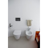 Унитаз настенный LAUFEN KARTELL BY белый матовый RIMLESS 8.2033.6.757.000.1